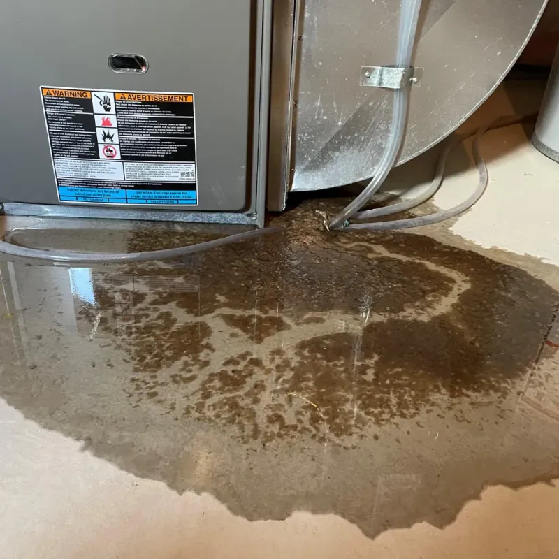 Appliance Leak Cleanup in Four Corners, TX